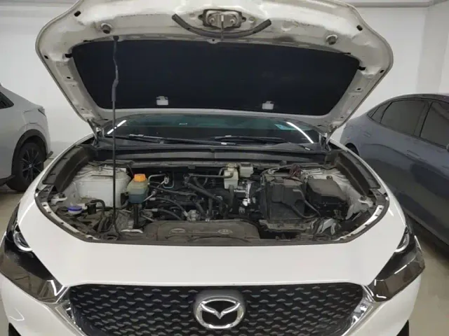 Mazda CX-30 EV — Фото автомобиля 19