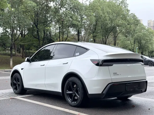 Tesla Model Y — Фото автомобиля 19