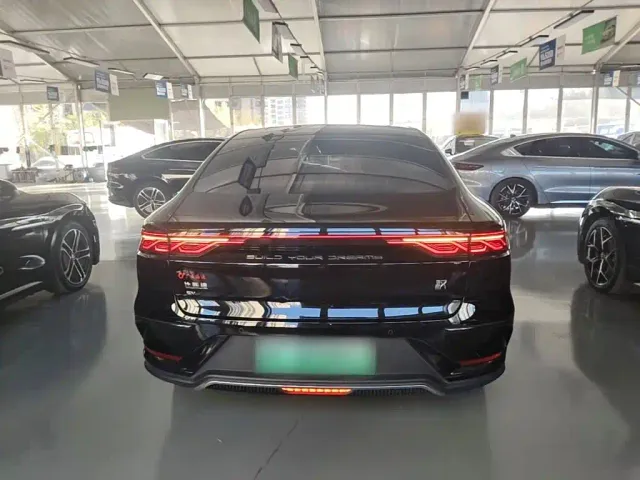 BYD Han — Фото автомобиля 5