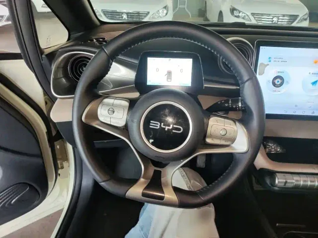 BYD Dolphin — Фото автомобиля 10