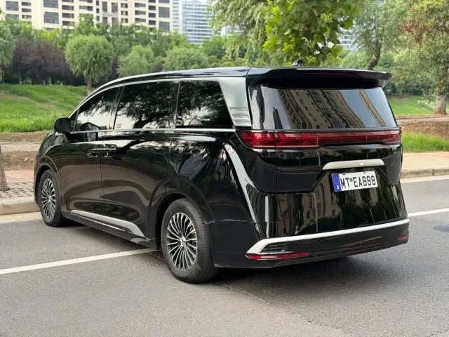 Denza D9 — Фото автомобиля 10