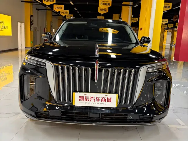 Hongqi E-HS9 — Фото автомобиля 2