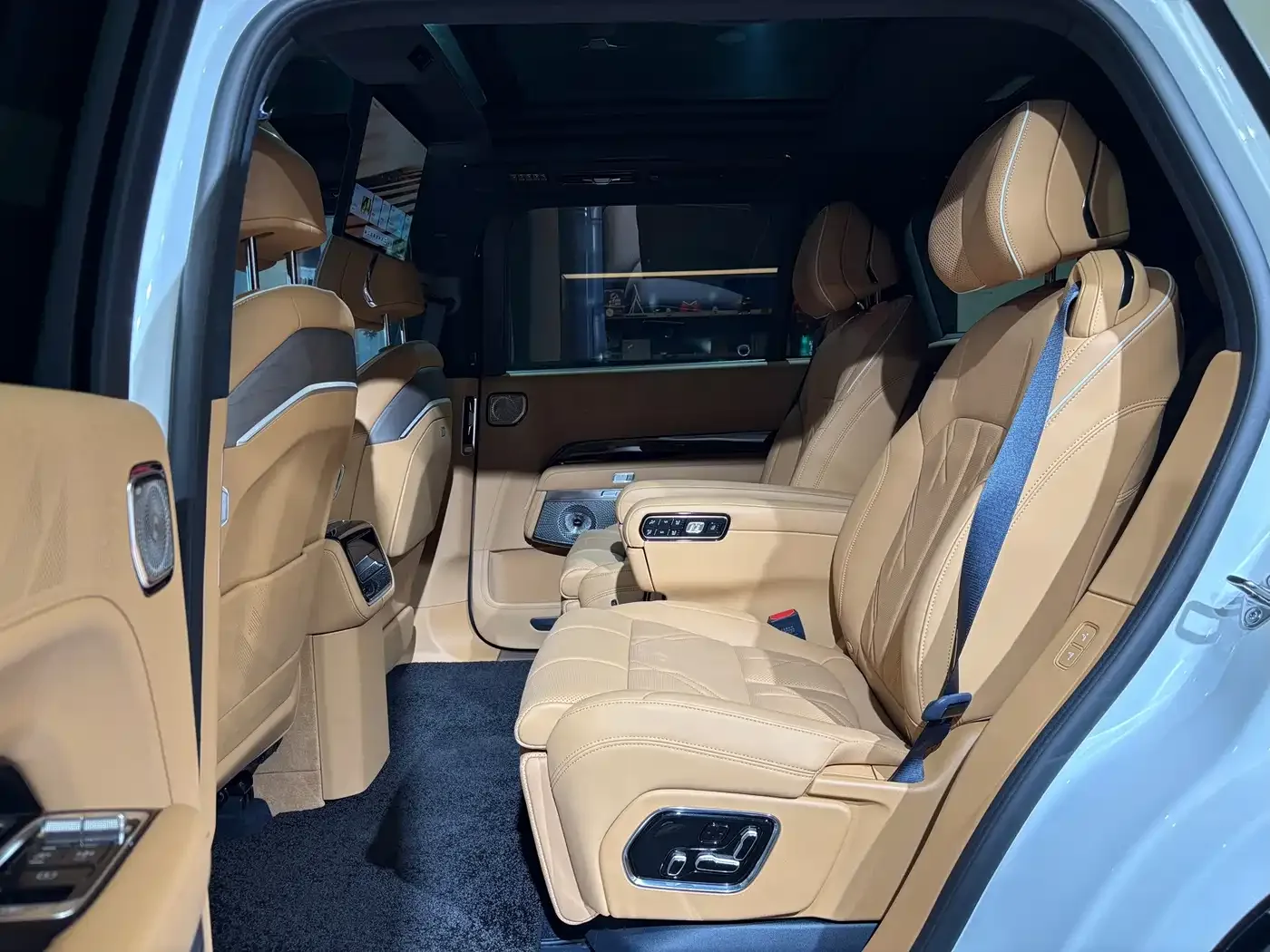 ZEEKR Zeekr 9X 2025 Model Standard — Фото автомобиля 17