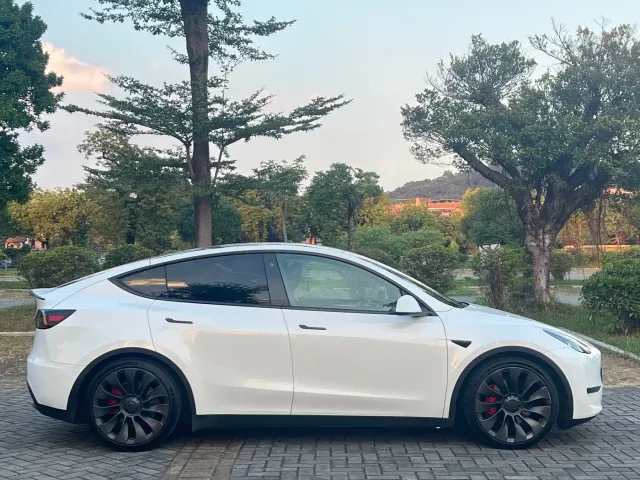 Tesla Model Y — Фото автомобиля 4