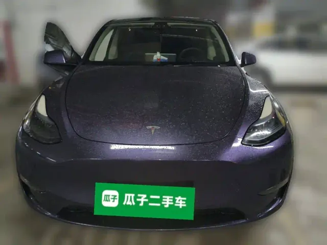 Tesla Model Y — Фото автомобиля 2