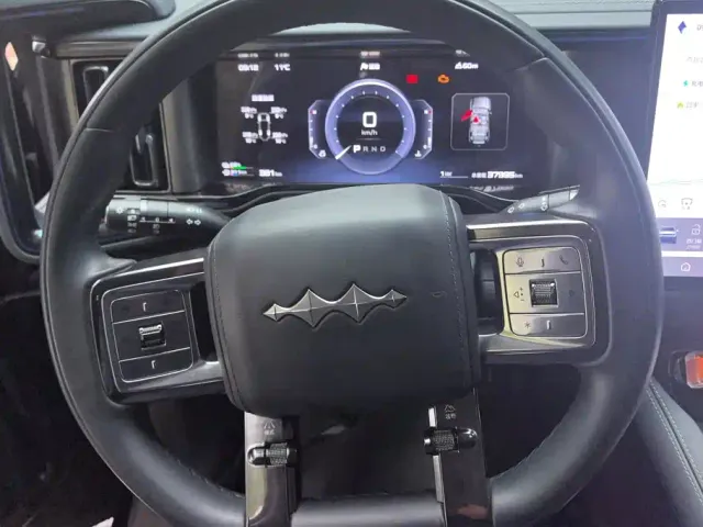 BYD FangChengBao Leopard 5 — Фото автомобиля 15