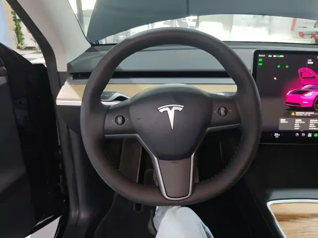 Tesla Model Y — Фото автомобиля 10