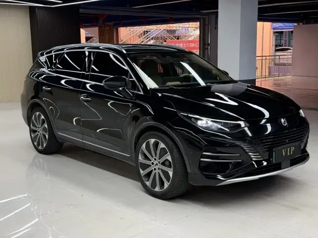 Denza Denza N8 2023 Model AWD Super Hybrid Flagship 7-Seater — Фото автомобиля 3