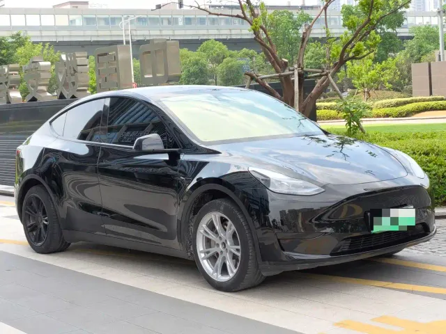Tesla Model Y — Фото автомобиля 2
