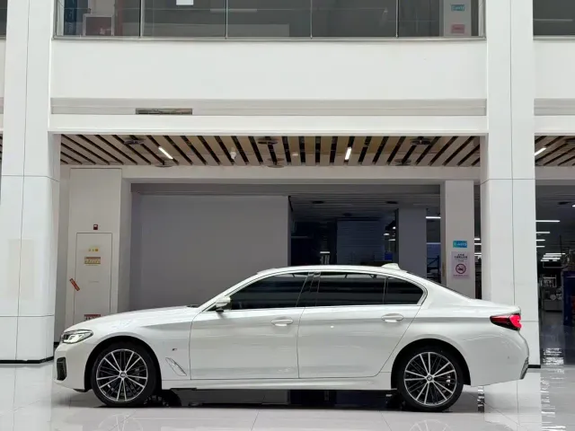 BMW 5 Series — Фото автомобиля 8