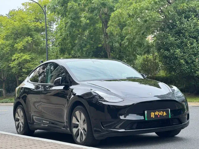 Tesla Model Y — Фото автомобиля 3