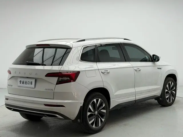 Skoda Karoq — Фото автомобиля 6