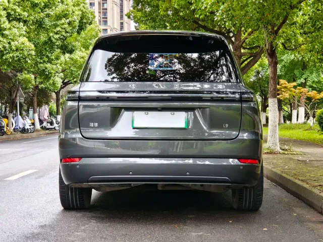 Li Auto L9 — Фото автомобиля 14