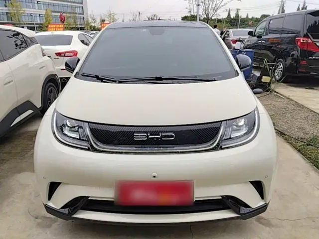 BYD Dolphin — Фото автомобиля 2
