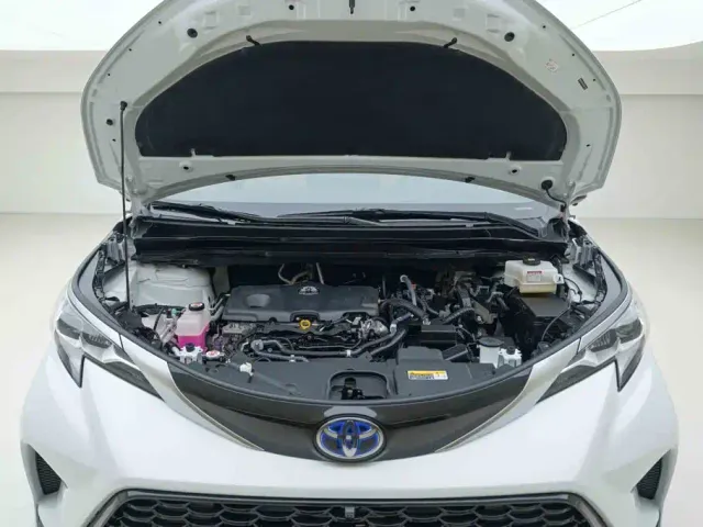 Toyota Sienna — Фото автомобиля 7