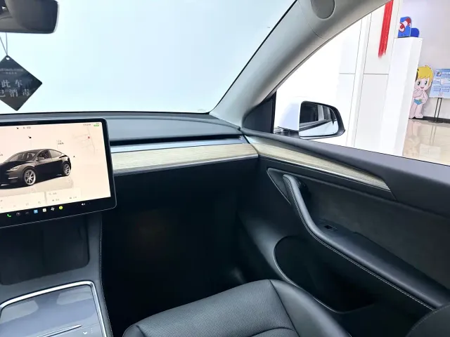 Tesla Model Y — Фото автомобиля 20
