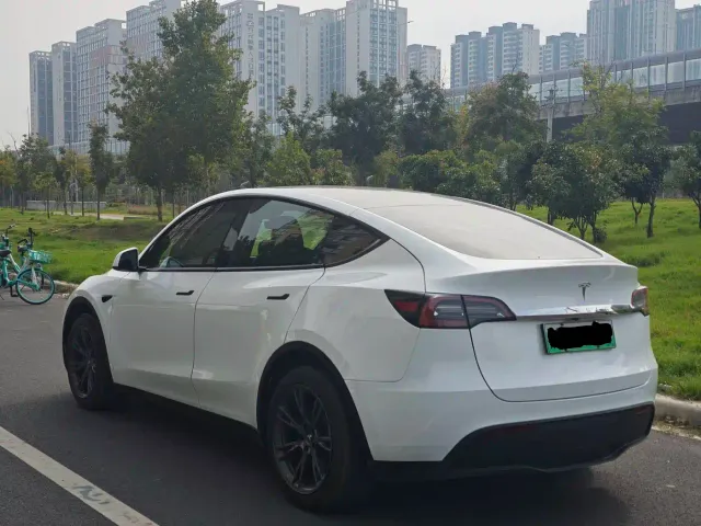 Tesla Model Y — Фото автомобиля 13
