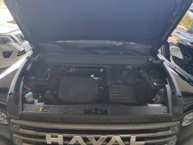 Haval Raptor — Фото автомобиля 19