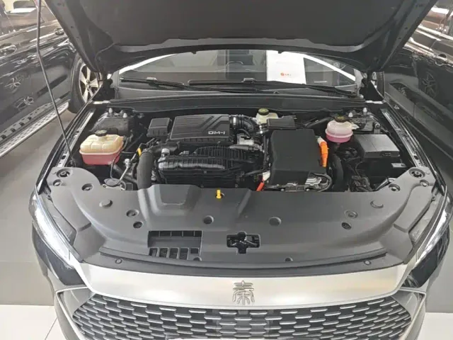 BYD Qin PLUS — Фото автомобиля 19