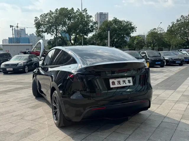 Tesla Model Y — Фото автомобиля 8
