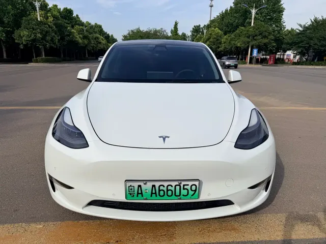 Tesla Model Y — Фото автомобиля 2