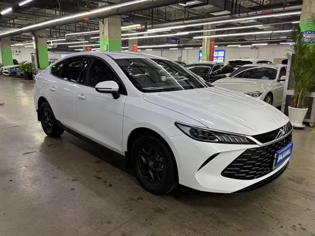BYD Qin PLUS — Фото автомобиля 2