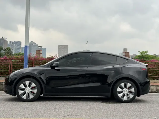 Tesla Model Y — Фото автомобиля 4