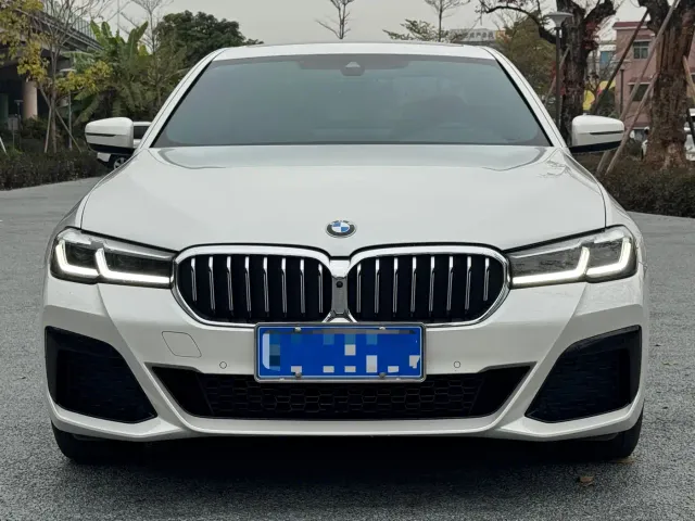 BMW 5 Series — Фото автомобиля 2