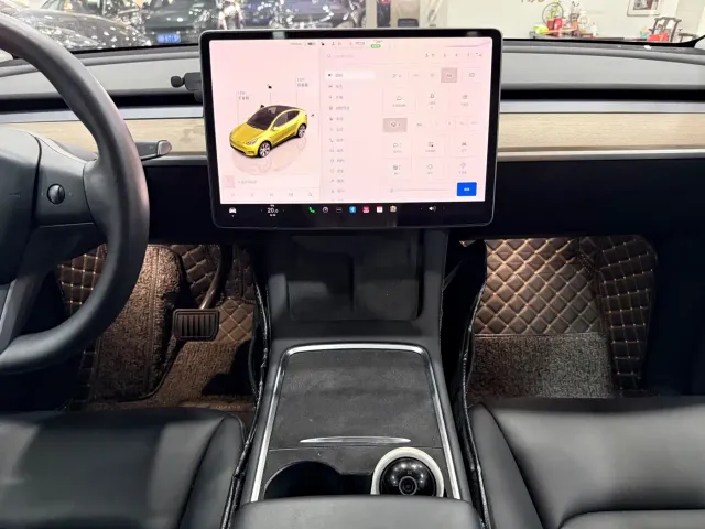 Tesla Model Y — Фото автомобиля 9