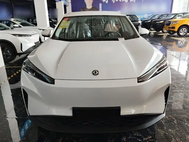 Dongfeng SKY EV01 — Фото автомобиля 2