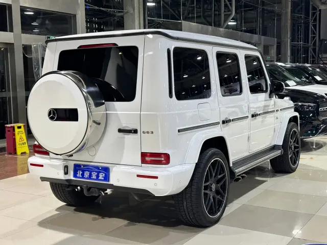 Mercedes-Benz G-Class — Фото автомобиля 19