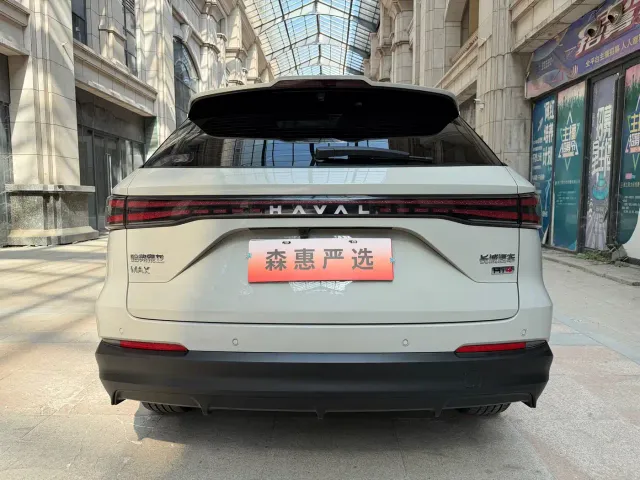 Haval Xiaolong MAX — Фото автомобиля 15