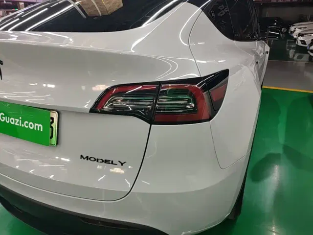 Tesla Model Y — Фото автомобиля 7