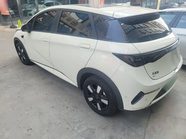 BYD Dolphin 2025 Smart Drive Edition 410km Fashion Version — Фото автомобиля 4