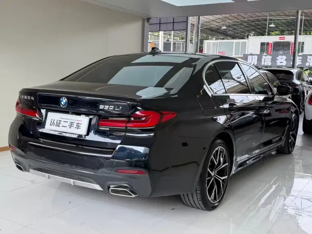 BMW 5 Series — Фото автомобиля 23