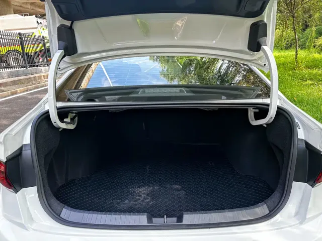 Volkswagen Sagitar — Фото автомобиля 12