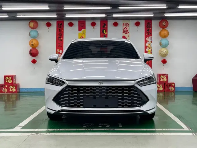 BYD Qin PLUS — Фото автомобиля 2