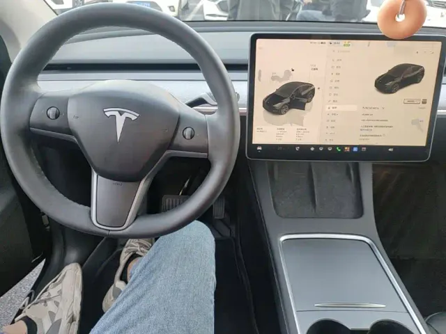 Tesla Model Y — Фото автомобиля 9