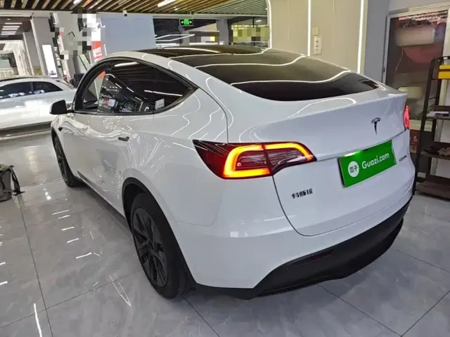 Tesla Model Y — Фото автомобиля 4