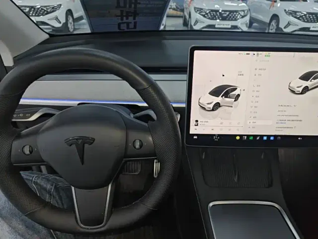 Tesla Model Y — Фото автомобиля 9