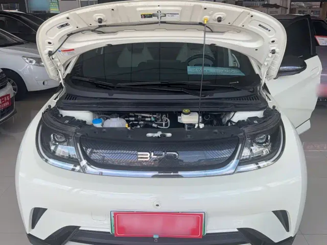 BYD Dolphin — Фото автомобиля 10