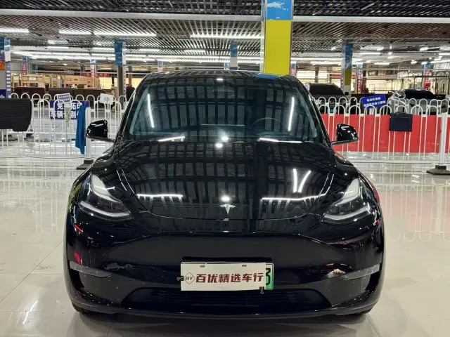 Tesla Model Y — Фото автомобиля 2