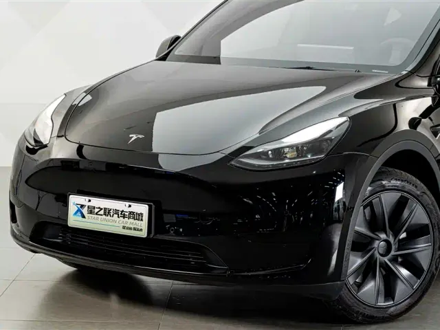 Tesla Model Y — Фото автомобиля 2