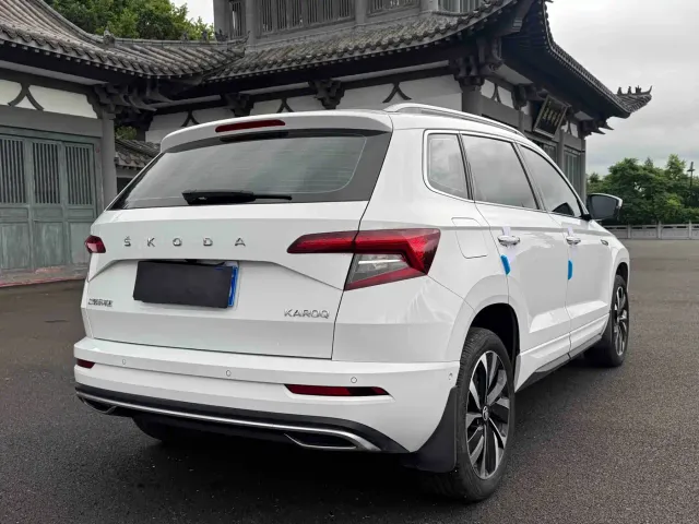 Skoda Karoq — Фото автомобиля 6