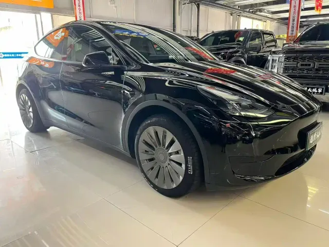 Tesla Model Y — Фото автомобиля 2