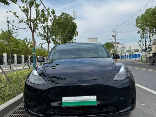 Tesla Model Y — Фото автомобиля 2