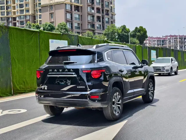Haval Big Dog — Фото автомобиля 14