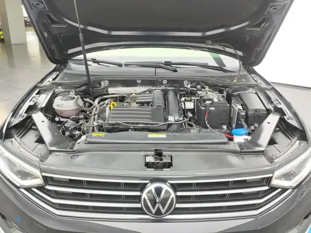 Volkswagen Magotan 2020 280TSI DSG Leading — Фото автомобиля 10