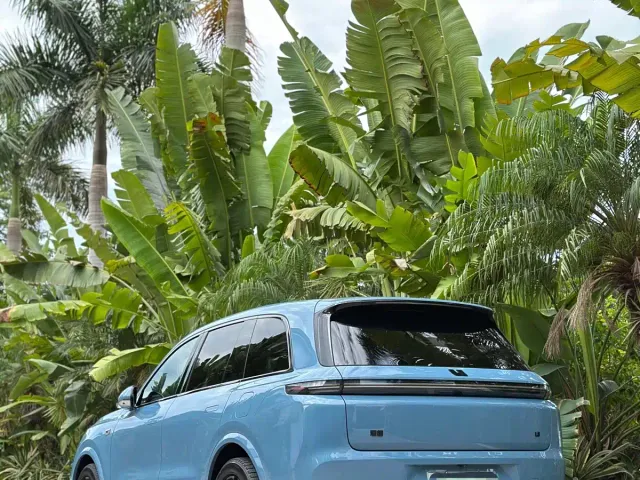 Li Auto L8 — Фото автомобиля 7