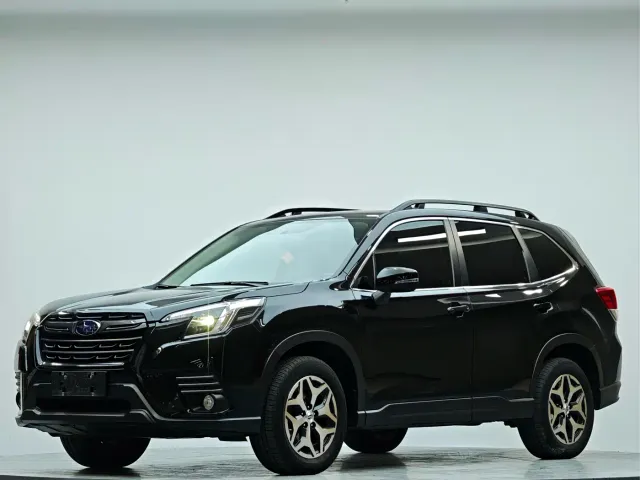 Subaru Forester — Фото автомобиля 16